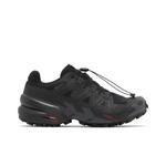 Кроссовки Salomon Speedcross 6 GORE-TEX 'Black Phantom' 1
