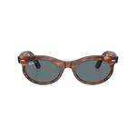 Солнцезащитные очки Wayfarer Oval в овальной оправе 1