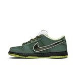 Кроссовки Concepts x Nike Dunk Low SB «Green Lobster» Special Box 3