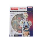 Фигурки Supreme Male Anatomy Model «Clear» 1