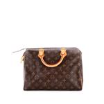 Speedy Handbag Monogram Canvas 30 satchel 1
