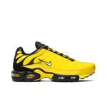 Кроссовки Nike Air Max Plus 'Frequency Pack' 1