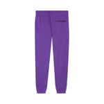 Спортивные штаны Icecream Burner Sweatpant 'Heliotrope' 2