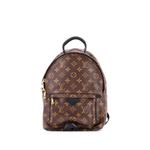 Рюкзак Palm Springs Monogram Canvas PM 1