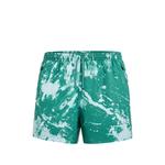 Dri-Fit Run Division shorts 1