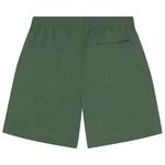 Плавки Stussy Curly S Water Short 'Multicolor' 2