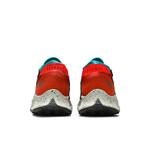 Кроссовки Nike Pegasus Trail 2 GTX 'Dark Smoke Grey Bright Crimson' 6