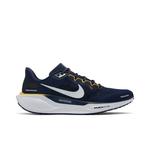 Кроссовки Nike Air Zoom Pegasus 41 'Michigan' 1