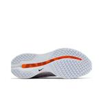Кроссовки Nike Wmns Pegasus Premium 'Airscape' 4