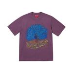 Рубашки и топы Supreme Peacock Short-Sleeve Top 'Фиолетовый' 1