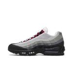Кроссовки Nike Air Max 95 'Dark Beetroot' 3