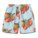 Плавки Stussy Peaches Water Short 'Blue' 1