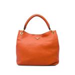 2010-2026 Vitello Daino hobo bag 1