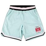 Шорты Supreme x Mitchel And Ness Basketball Short 'Light Blue' 1