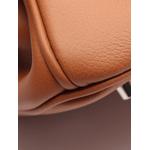 2025 Birkin tote bag 6