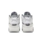 Повседневный Air Jordan Dub Zero 'White Cool Grey' 6