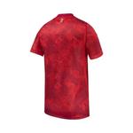 Джерси Nike Poland 2026 Stadium Away 'Red' 2