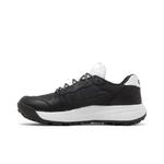 Образ жизни Nike ACG Lowcate 'Black White' 3