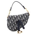 Saddle Handbag Oblique Canvas Mini shoulder bag 1