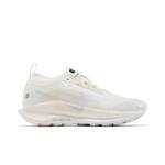Кроссовки Nike Wmns Pegasus Trail 5 GORE-TEX 'Sail Photon Dust' 1