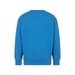 Box Logo crew-neck sweashirt 2