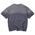 Футболки с коротким рукавом Vale Forever Dogyard Tee 'Grey' 2