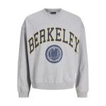 Свитшот Berkeley 7