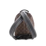 Рюкзак Palm Springs Monogram Canvas PM 2