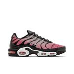 Кроссовки Nike Air Max Plus 'All Day' 1