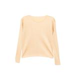 Лонгслив Pleats Please Issey Miyake Monthly Colours: December 1