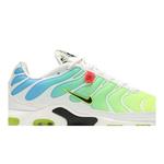 Кроссовки Nike Air Max Plus 'Worldwide Pack' 2