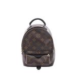 Мини-рюкзак Monogram Palm Springs (2021-2026 годы) 1