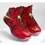 Кроссовки Nike LeBron «Celebration Pack» 2