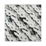 Шарфы Givenchy Braid Print Silk Scarf 'Black Grey White' 2