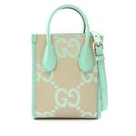 Сумка-сэтчел Mini Jumbo GG Canvas Web (2016-2026 годы) 1