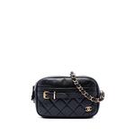2018-2019 Small Quilted Lambskin Buckle Camera Bag crossbody bag 1