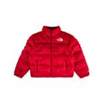 Куртка TNF Nuptse из искусственного меха 1