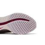 Кроссовки Nike Wmns Pegasus Premium 'Silt Red Particle Rose' 5