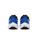 Кроссовки Nike Air Zoom Pegasus 39 'Racer Blue' 6