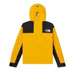 Парки The North Face GTX Mountain Jacket 'Summit Gold/TNF Black' 2