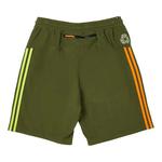 Palace x adidas Nature Шорты 'Wild Pine' 2