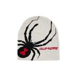 Шапки-бини Supreme x Spyder Beanie 'Stone' 1