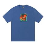 Топы Stussy Berries Tee 'Blue' 1