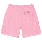 Шорты Stussy Big Basic Mesh Short 'Pink' 2