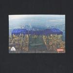 Футболки Supreme x Nike ACG Grid Tee 'Black' 3