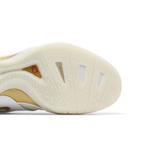 Кроссовки Nike Zoom KD 3 'White Metallic Gold' 5