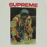 Футболки Supreme Ronin Tee 'Pale Green' 3