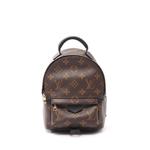 Рюкзак Monogram Mini Palm Springs (2018 год) 1