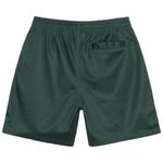 Шорты Stussy Mesh Big Basic 'Ель' 2