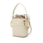 2018 Mini Calfskin Roy Bucket Bag satchel 3